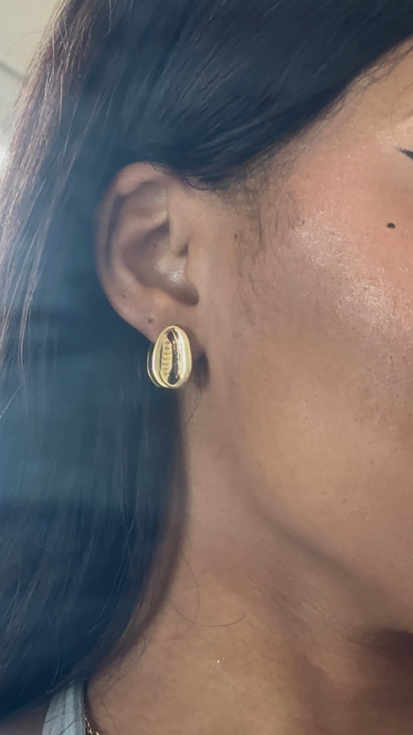 Cowrie Shell Stud Earrings
