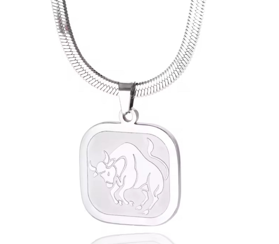 Herringbone Zodiac Necklace