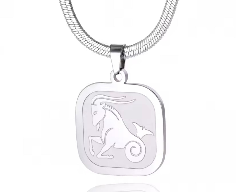Herringbone Zodiac Necklace
