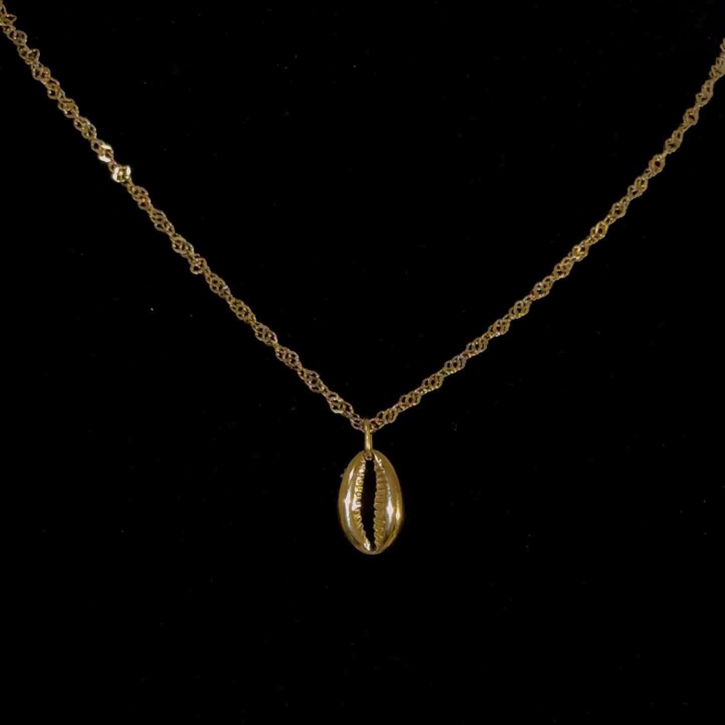Gold Cowrie Shell Necklace