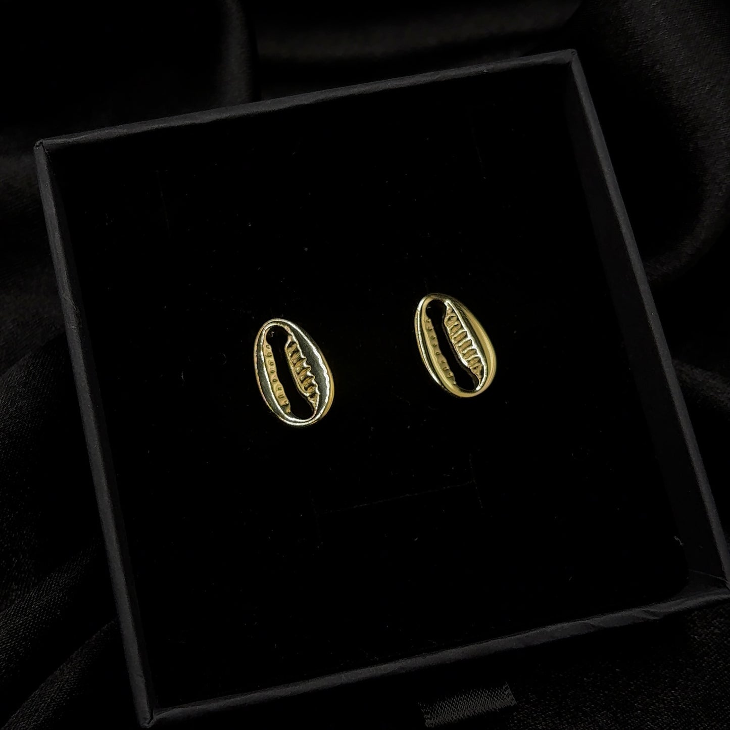 Cowrie Shell Stud Earrings