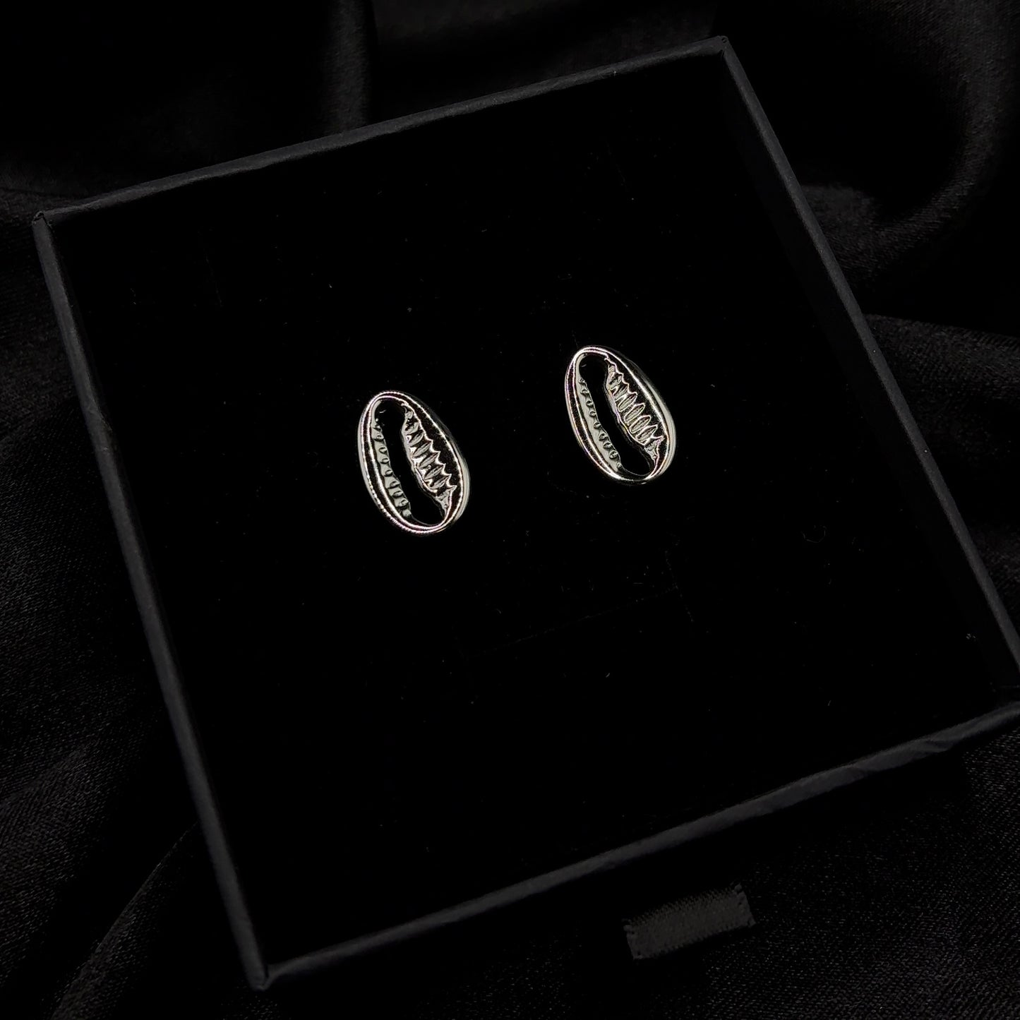 Cowrie Shell Stud Earrings