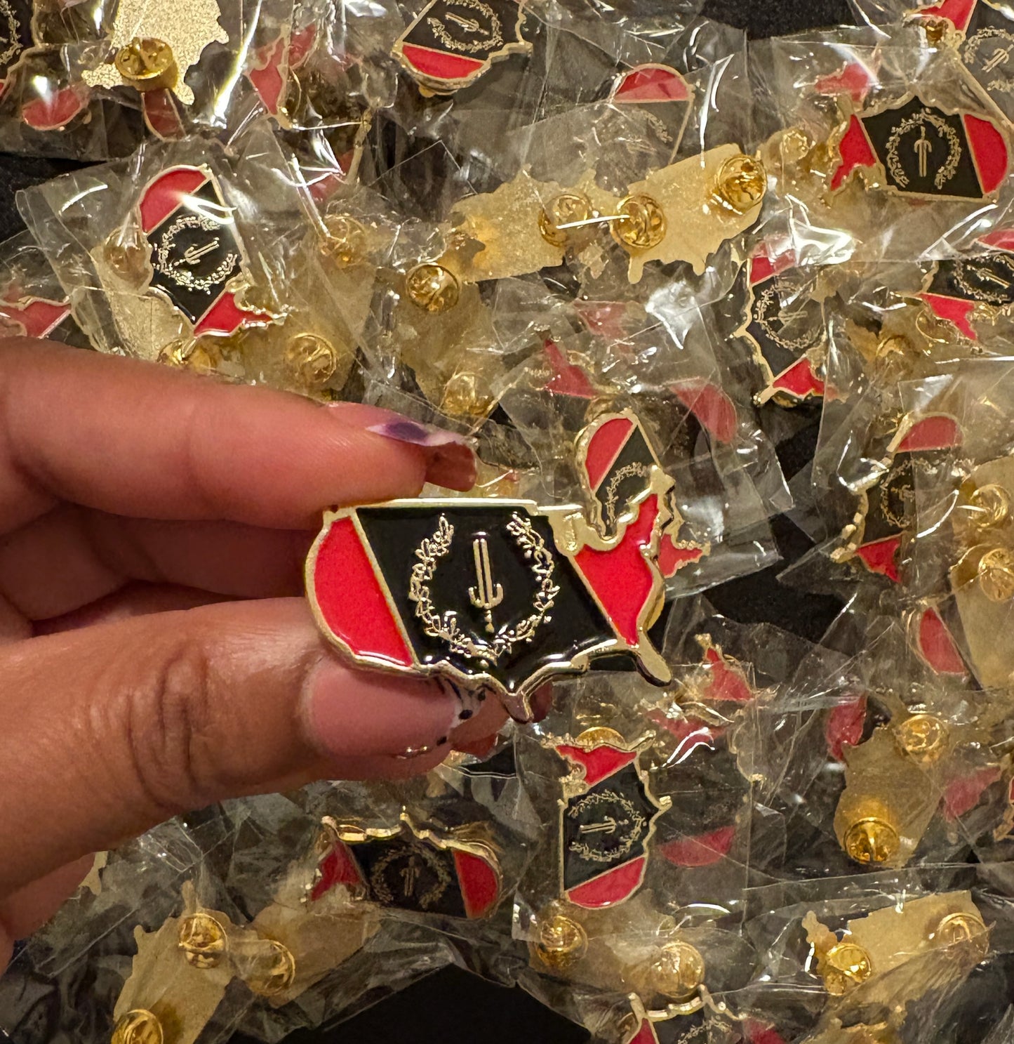 Black American Heritage Flag Pin